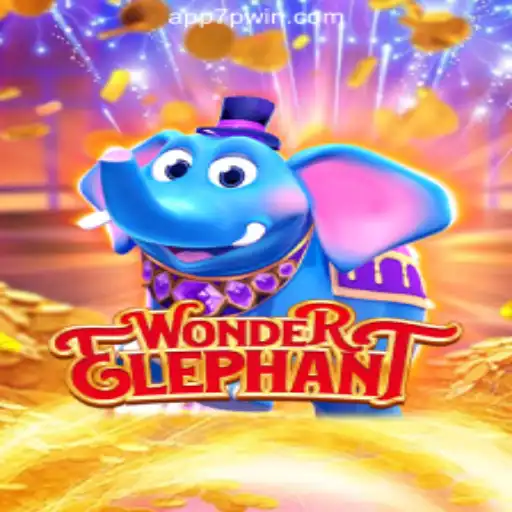 Exploring the Enchanting World of 
